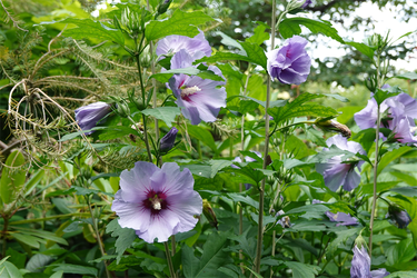 DSC08446_R