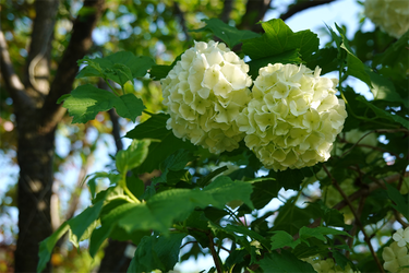 DSC06764_R