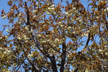 DSC06601_R