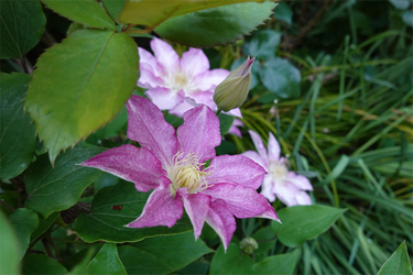 DSC06745_R
