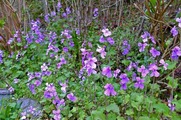 DSCF2002_R