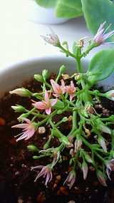 d33e7898.jpg