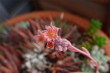 DSC06705_R