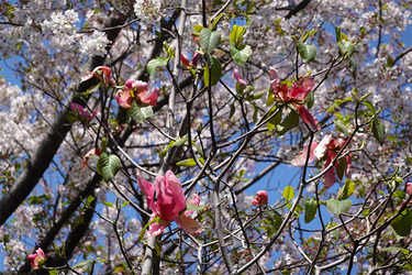 DSC06606_R