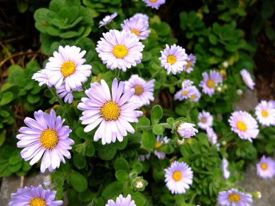 DSCF9025_R