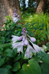 DSC08790_R
