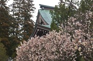 DSCF1133_R
