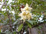 DSCF5534_R