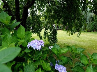 DSC00855_R
