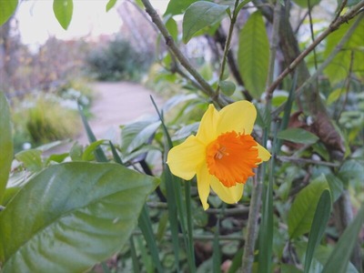 DSCF4720_R