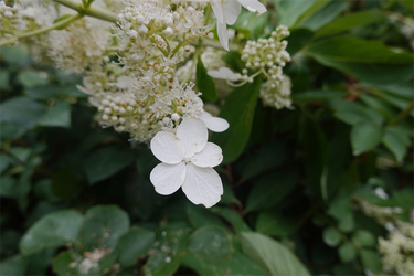 DSC08930_R