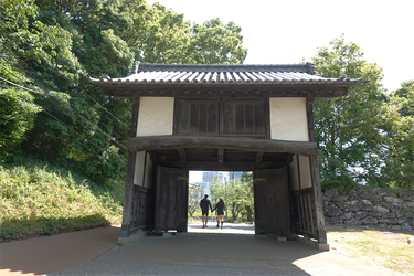 DSC08011_R