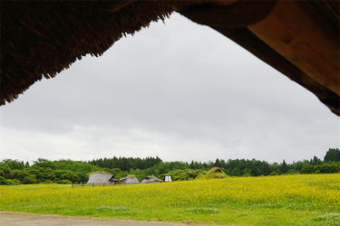 DSC02403_R
