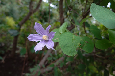 DSC08966_R