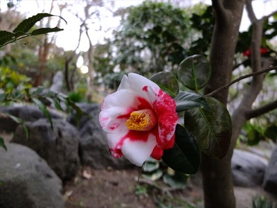 DSCF1239_R