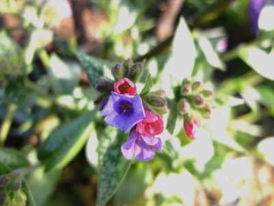 DSCF4926_R