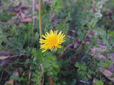 DSCF4940_R