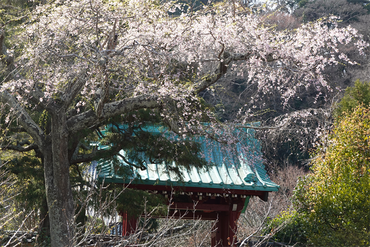 DSC06288 (1)_R