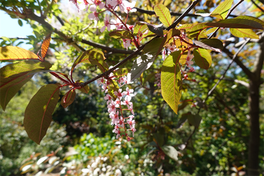 DSC06653_R