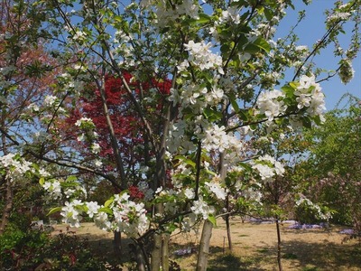 DSCF5510_R