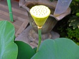 DSCF2681_R