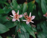 d4674460.jpg