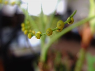 DSCF7419_R
