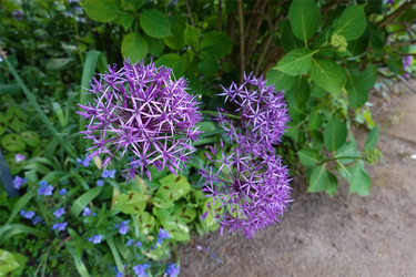 DSC07029_R