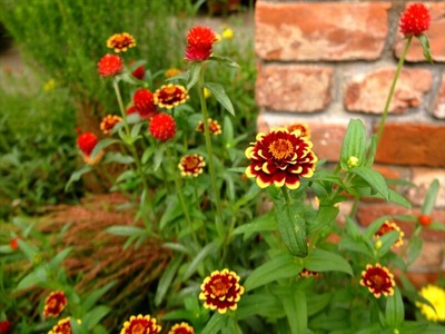 DSCF5064_R