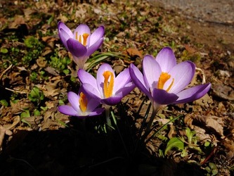 DSCF8300_R