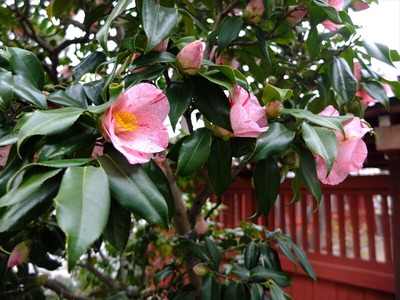 DSCF1208_R