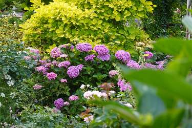 DSC01649_R