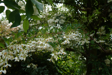 DSC07463_R
