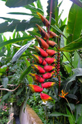 DSCF4296_R