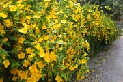 DSCF0852_R