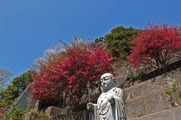 DSCF2104_R
