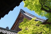 DSCF3949_R