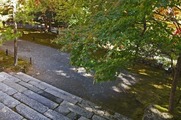 DSCF7854_R