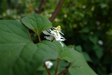 DSC08179_R