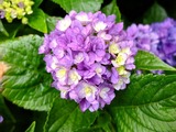 DSCF2421_R