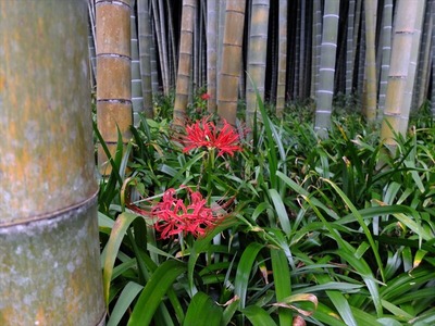 DSCF8594_R