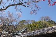 DSCF2062_R