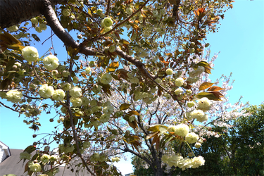 DSC06681_R