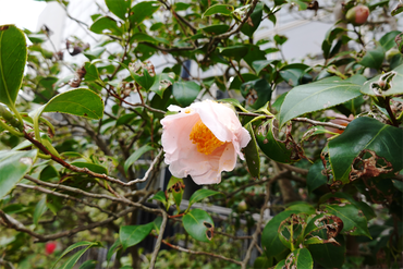 DSC05789_R