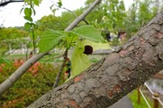 DSCF2781_R