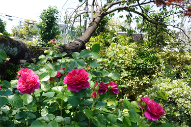 DSC07201_R