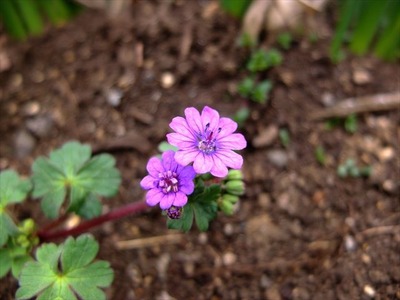 DSCF7474_R