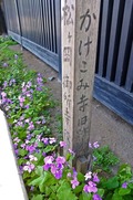 DSCF2063_R