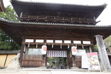 DSC09515_R