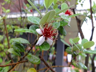 DSCF6175_R